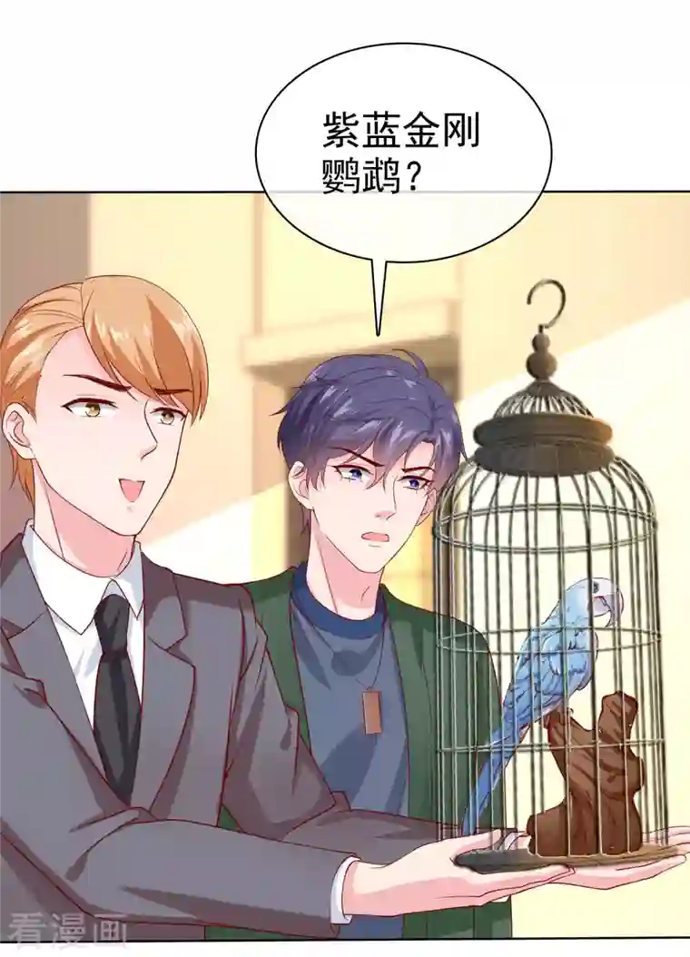 冰山总裁强宠婚第155话 情话大王是怎么炼成的