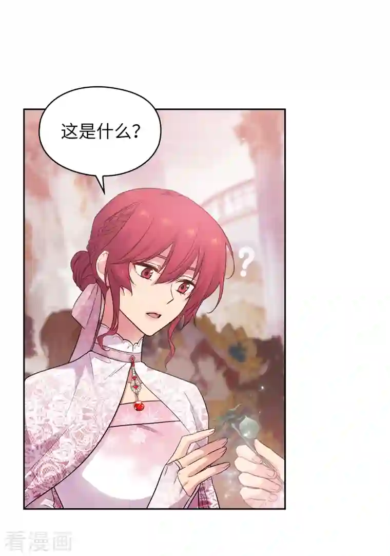 阿多尼斯第337话 浪漫中年人的礼物