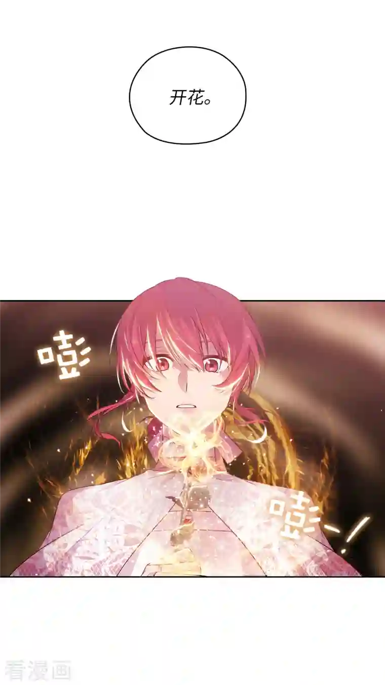 阿多尼斯第337话 浪漫中年人的礼物