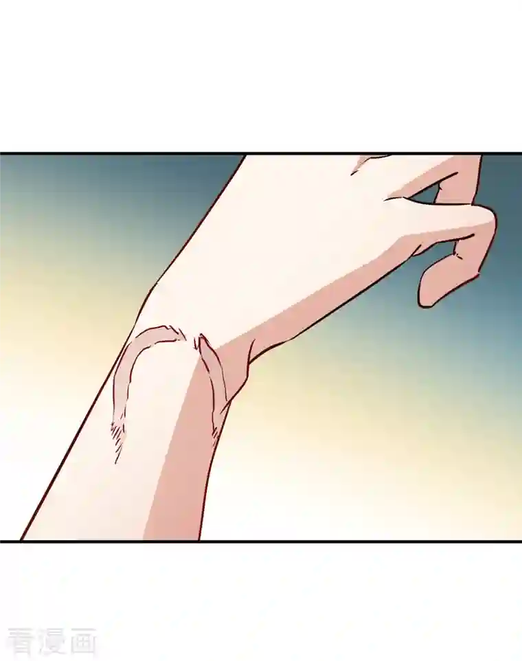 寻找前世之旅第2季第47话 维卡的秘密2