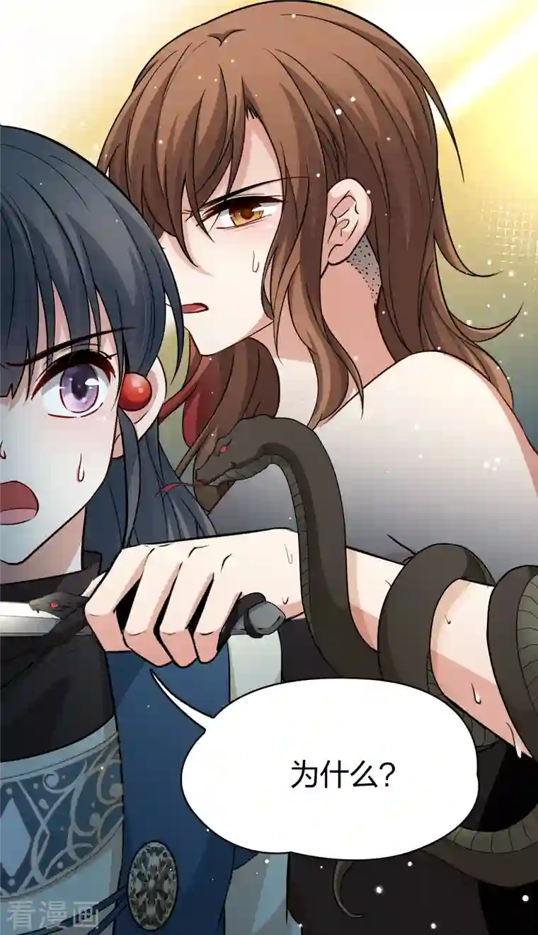 寻找前世之旅第2季第47话 维卡的秘密2