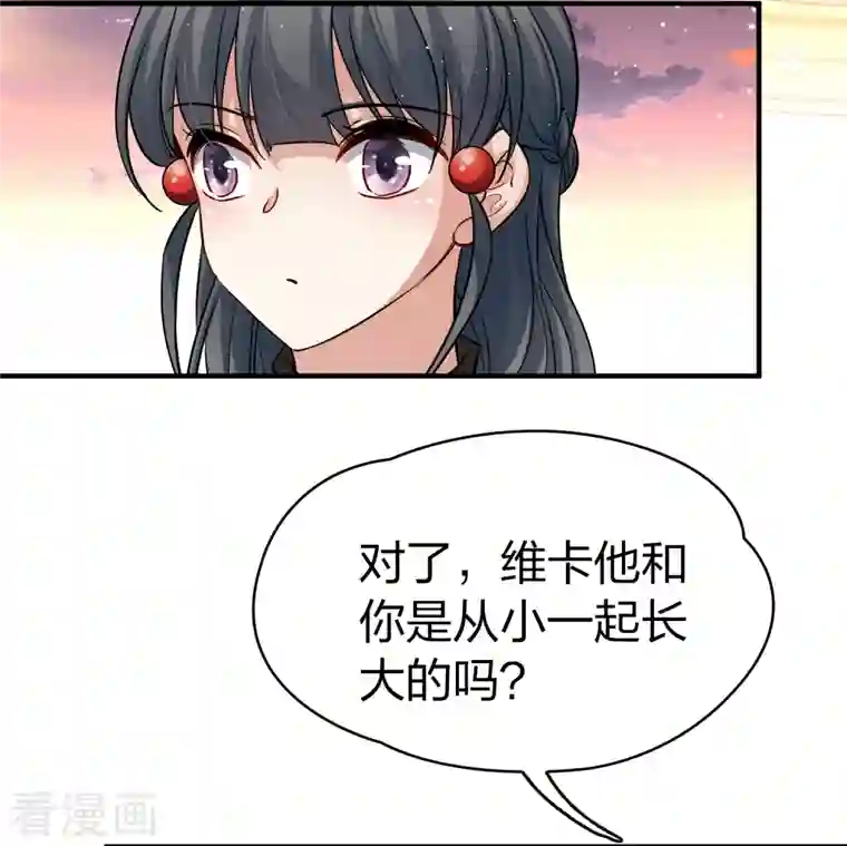 寻找前世之旅第2季第48话 维卡的秘密3