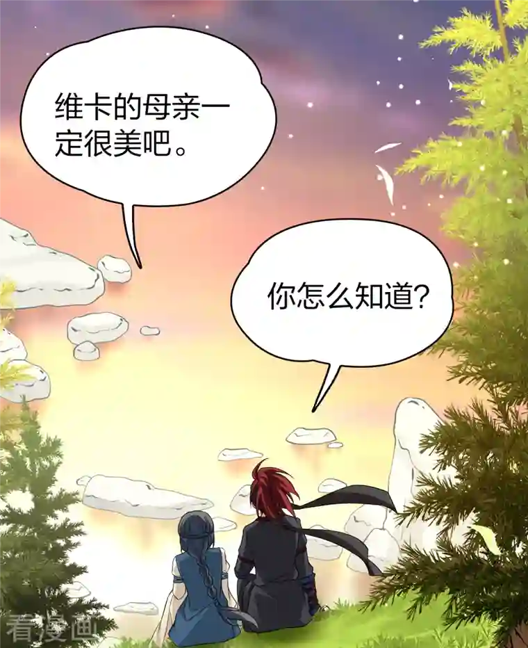 寻找前世之旅第2季第48话 维卡的秘密3