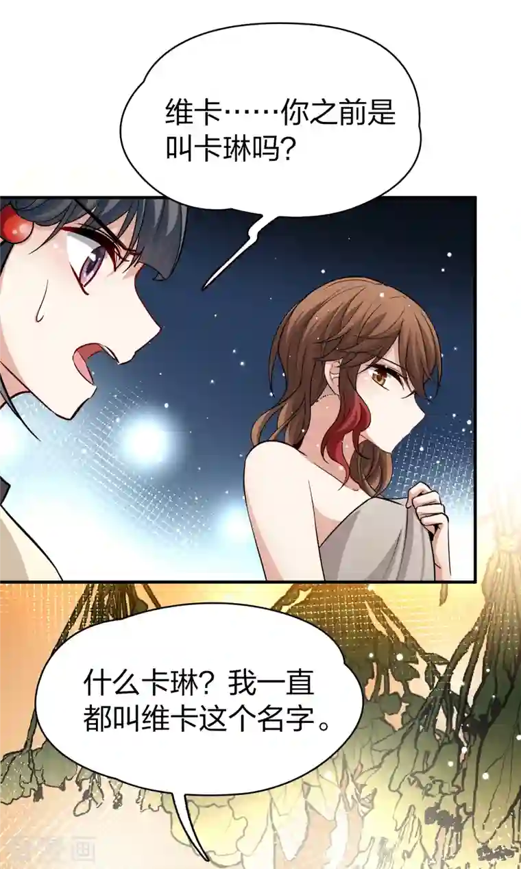 寻找前世之旅第2季第48话 维卡的秘密3