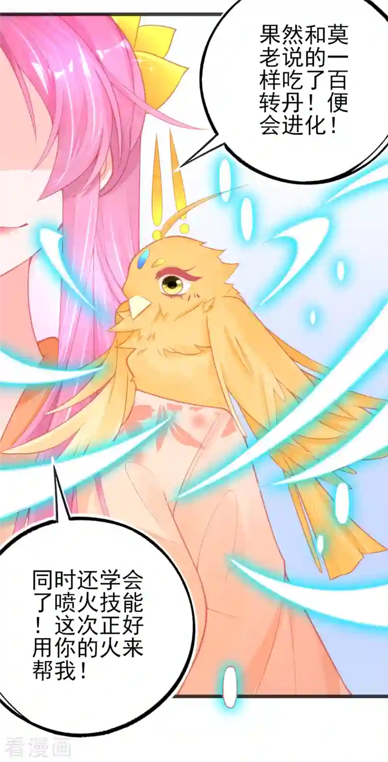 本王妃神藤在手第128话 接下比赛