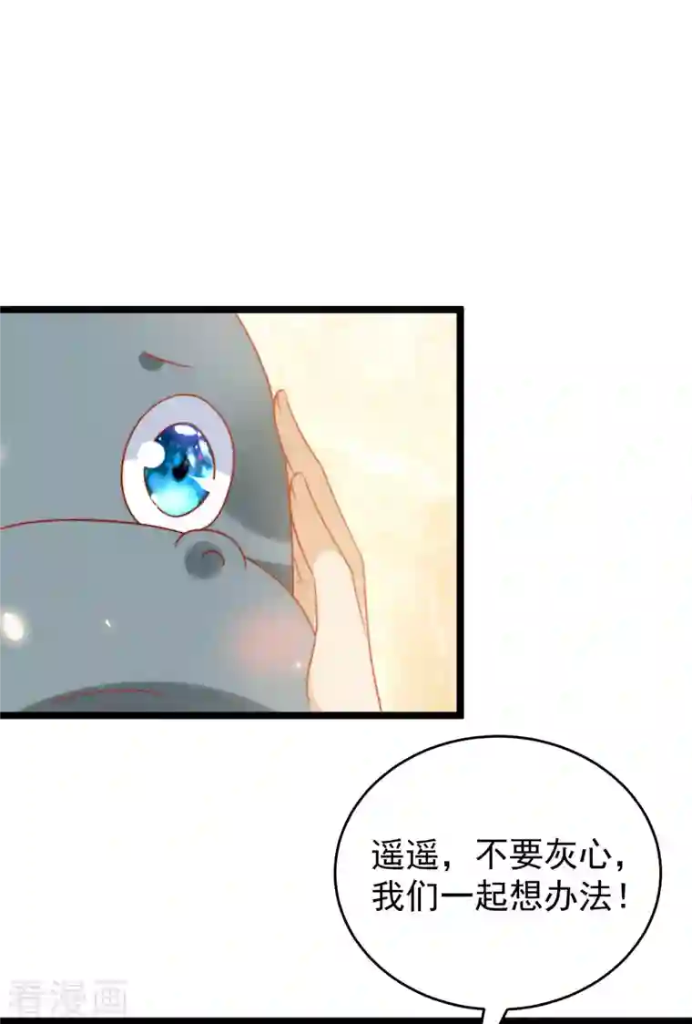 王的第一宠后第120话 这么可爱的河马精~