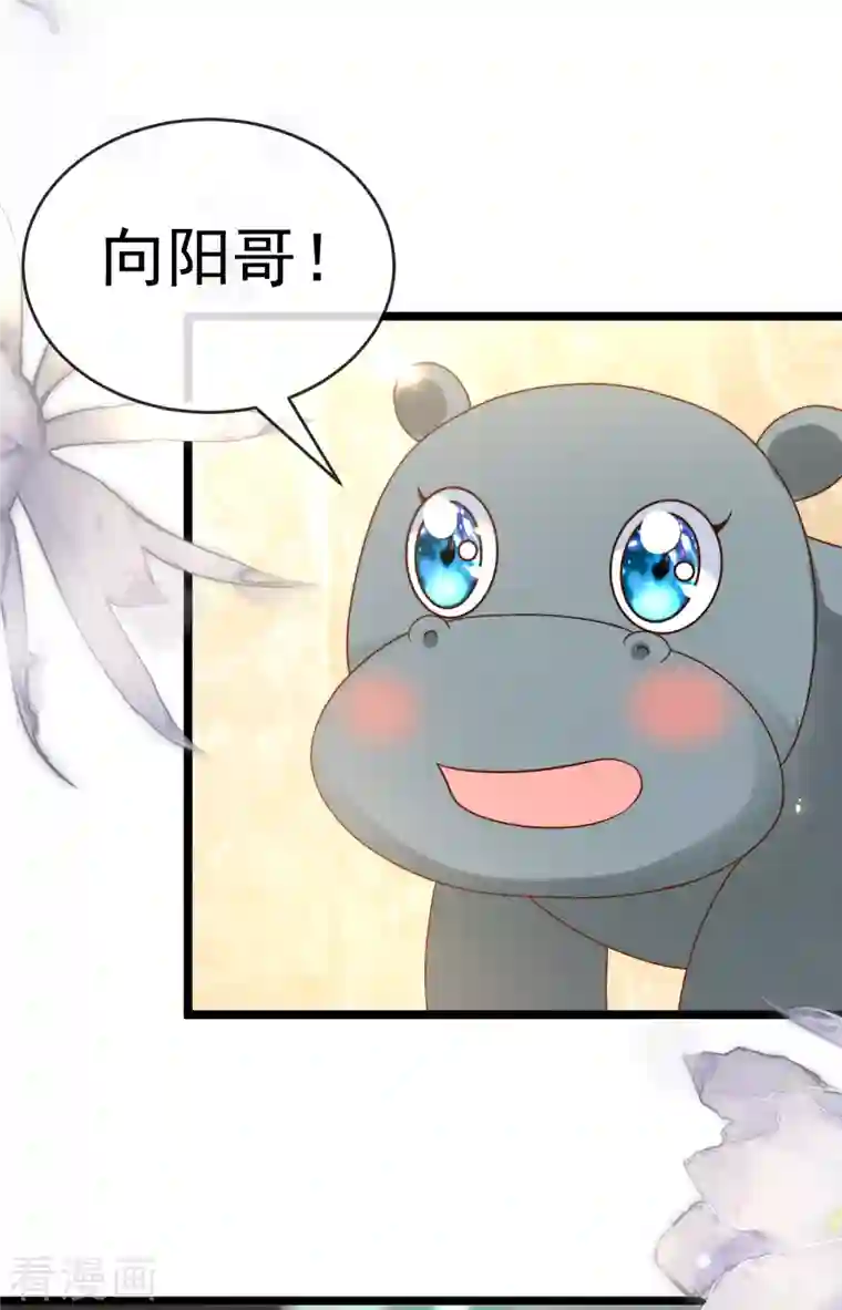 王的第一宠后第120话 这么可爱的河马精~