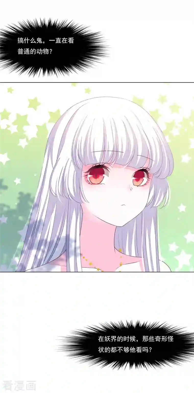 穿回古代做国宝第185话 再见了小熊猫