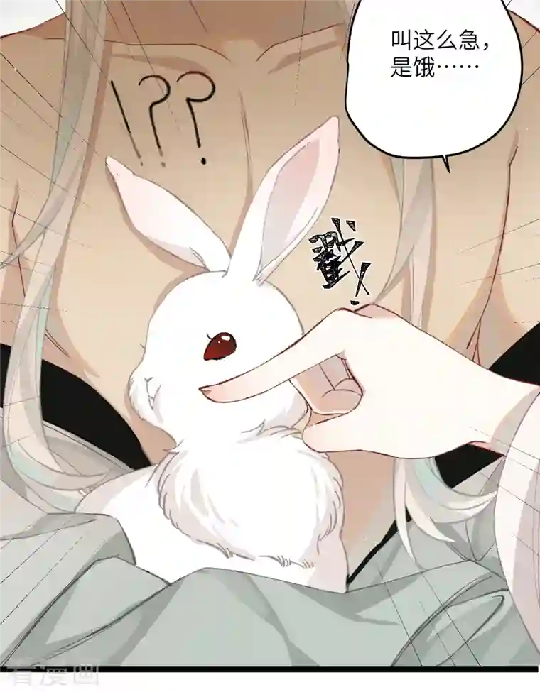 炮灰公主想苟到最后第28话 雾中的少年