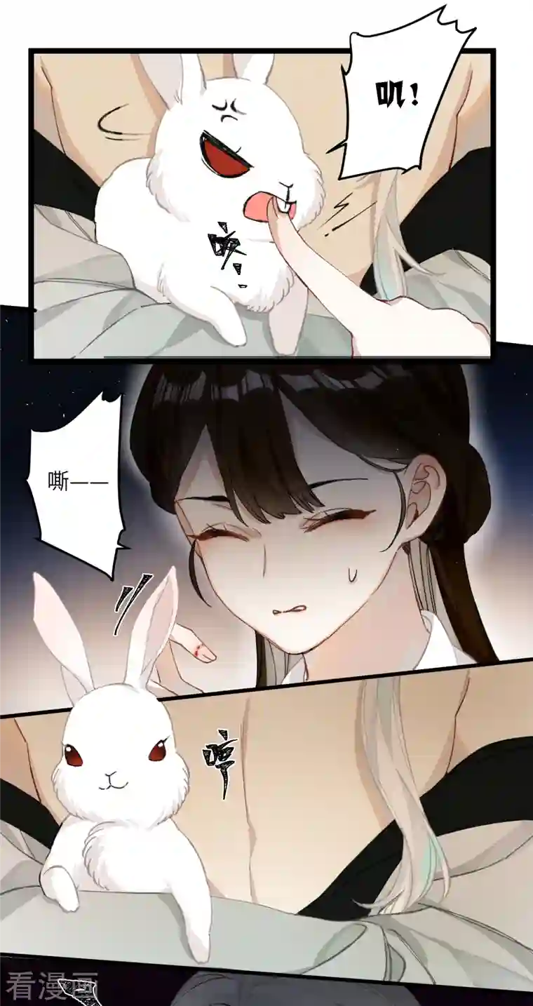 炮灰公主想苟到最后第28话 雾中的少年