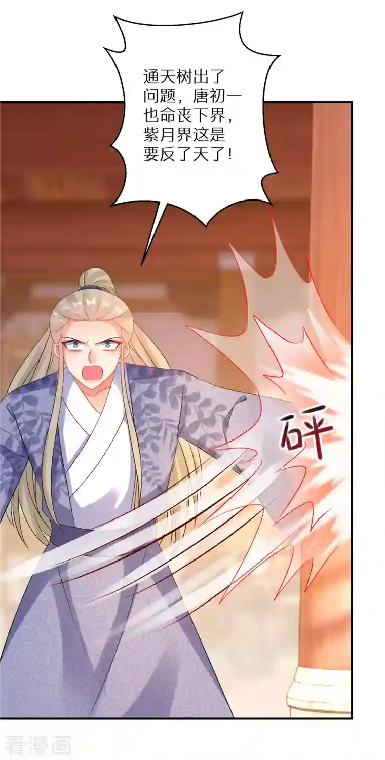 逆天毒妃第166话 婚礼上见