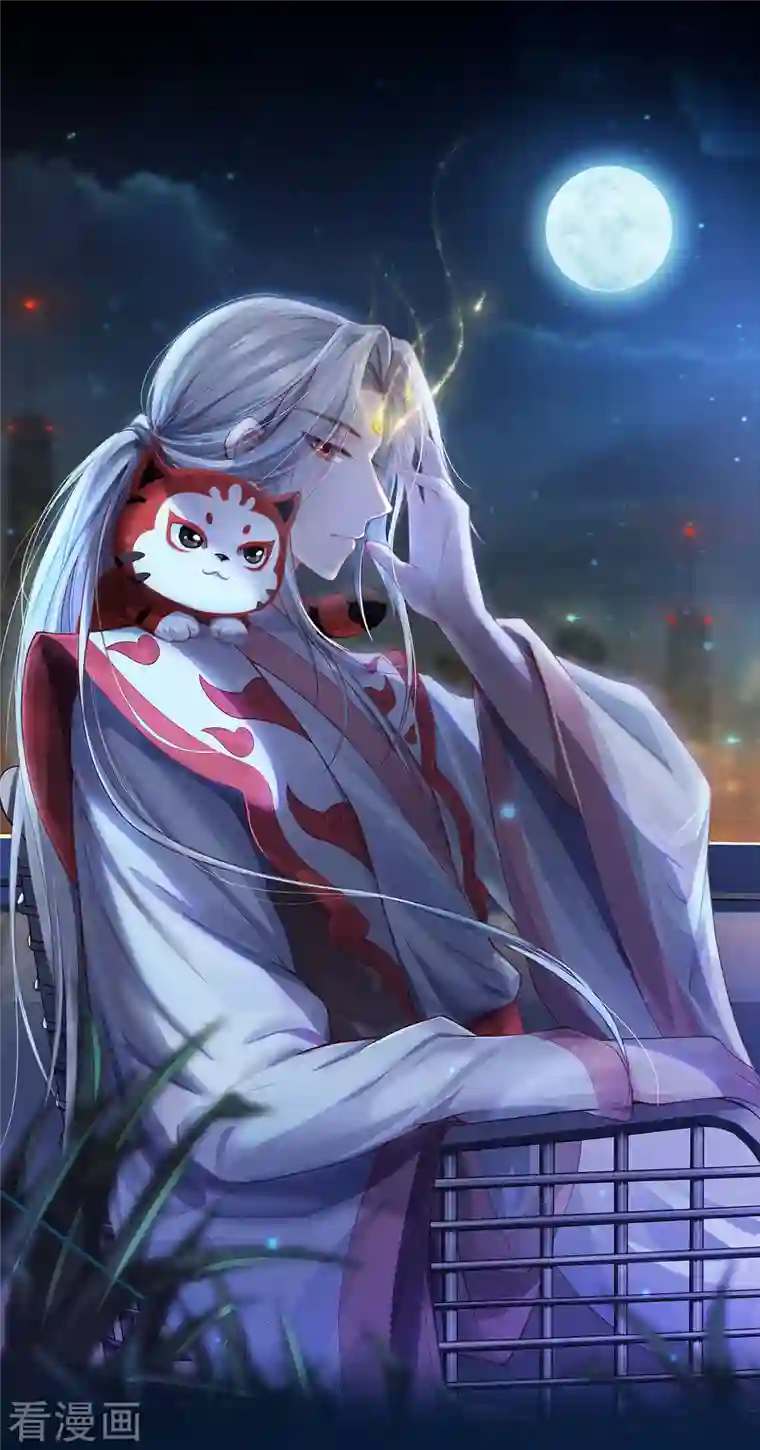 吾本是猫放料 人物壁纸，本体揭秘