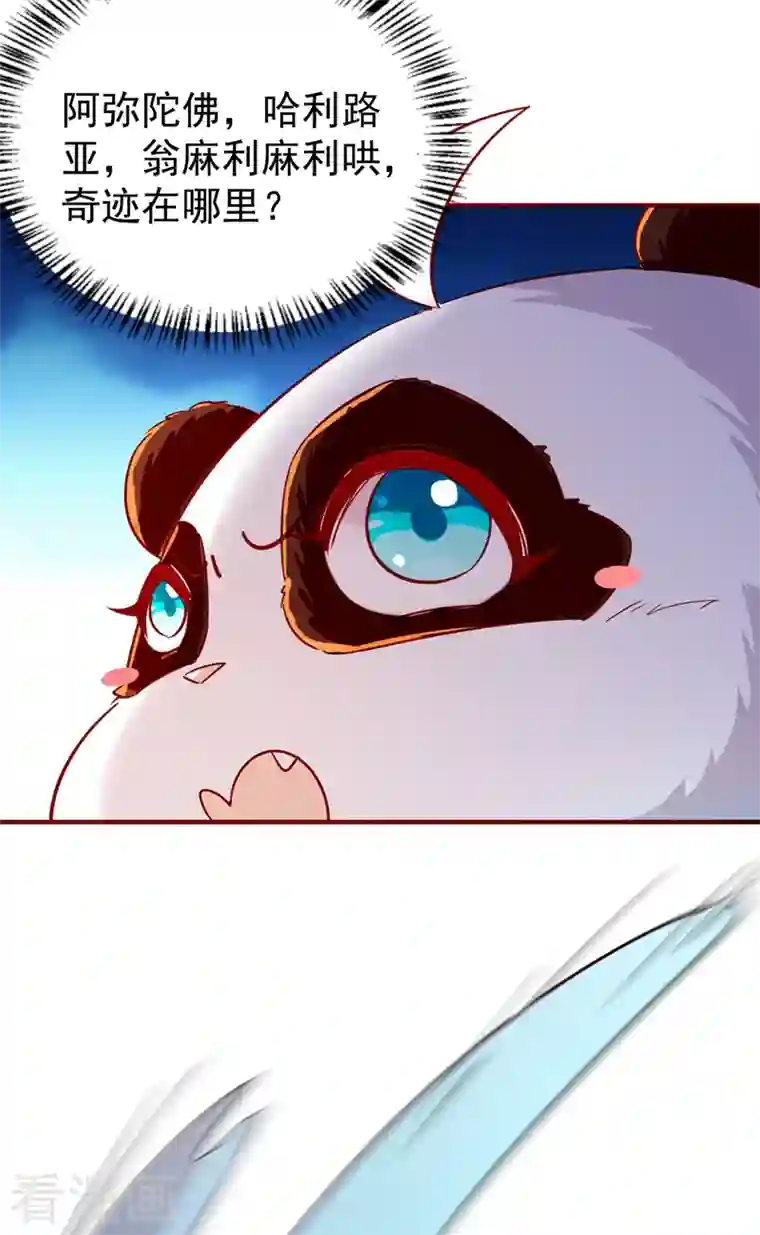 萌妃来袭：天降熊猫求抱抱现代篇81 冉冉，是你吧？