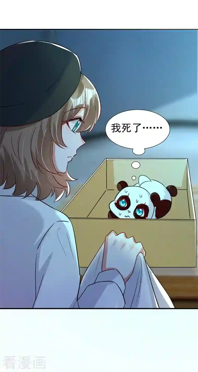 萌妃来袭：天降熊猫求抱抱现代篇81 冉冉，是你吧？