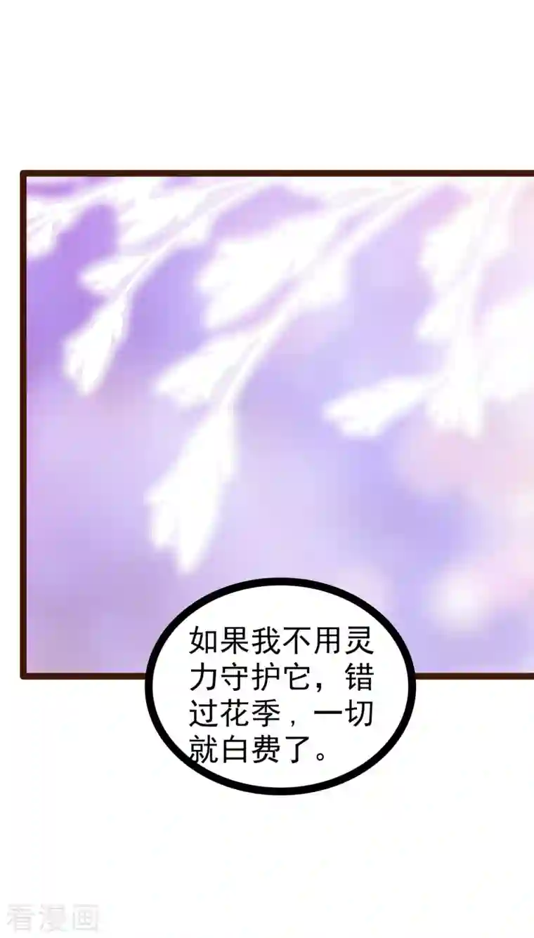 霸道冥王恋上她第126话 这是月光兰？！