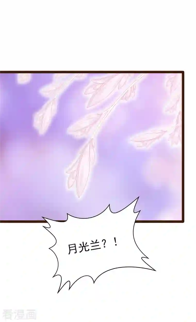 霸道冥王恋上她第126话 这是月光兰？！