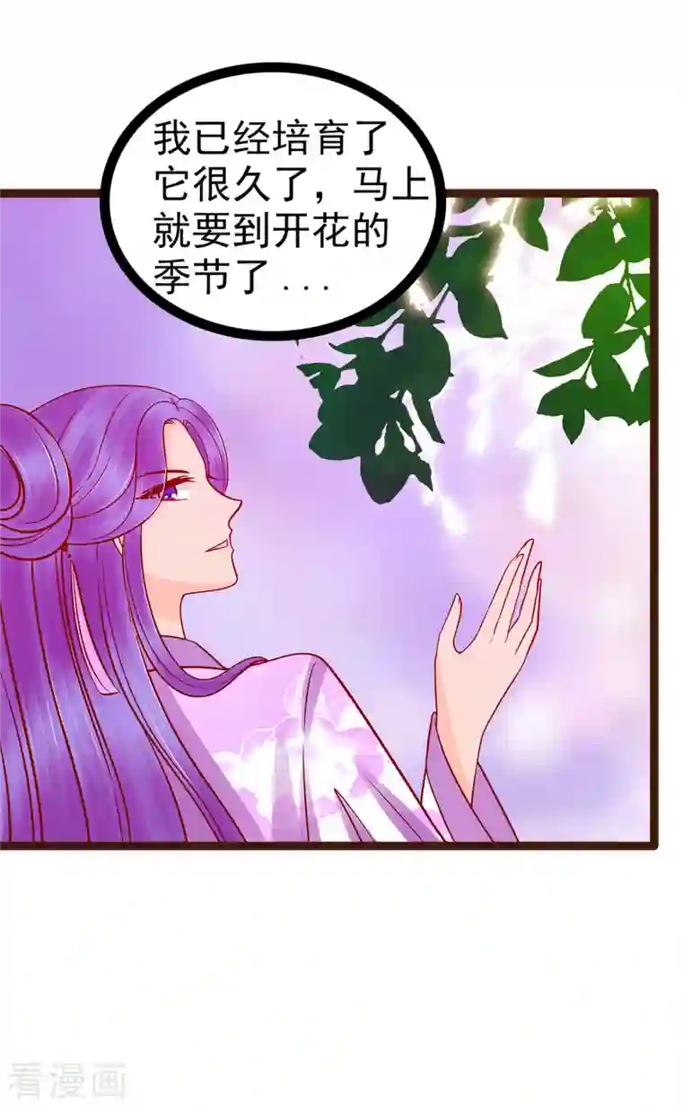 霸道冥王恋上她第126话 这是月光兰？！