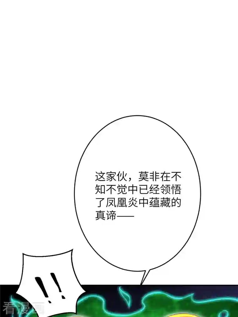 逆天邪神第359话 凤凰炎，净化吧