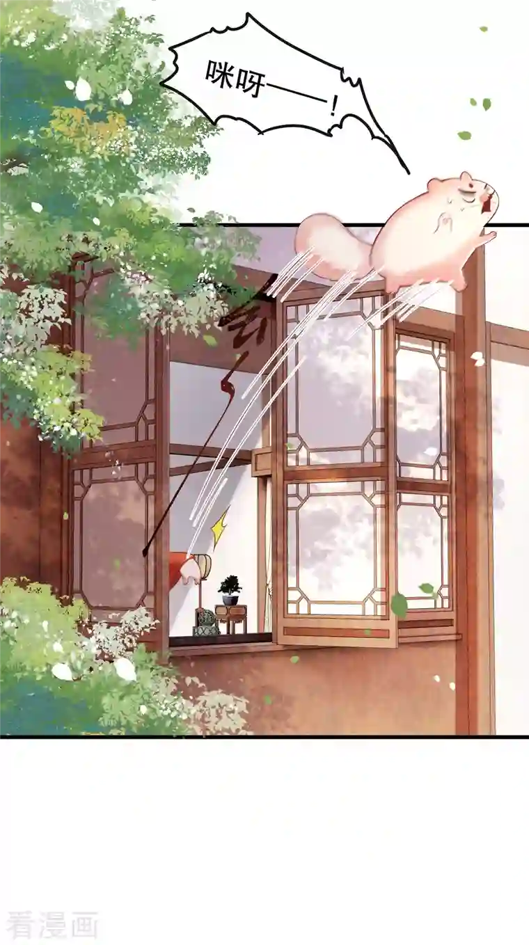 这个王妃路子野第80话 我真的做错了吗...