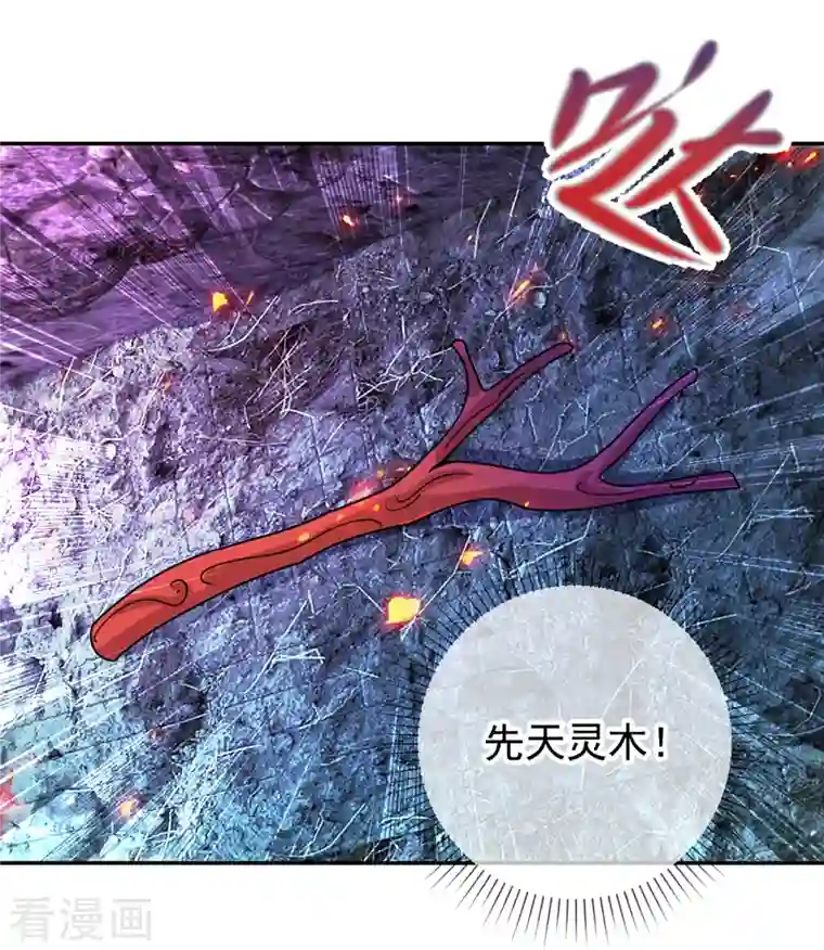 重生地球仙尊第72话 罪魁