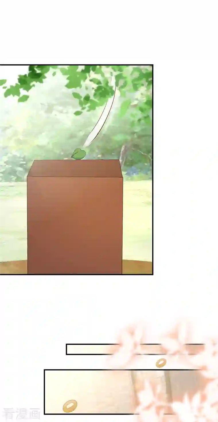 逆天毒妃第173话 暂时活在假想中