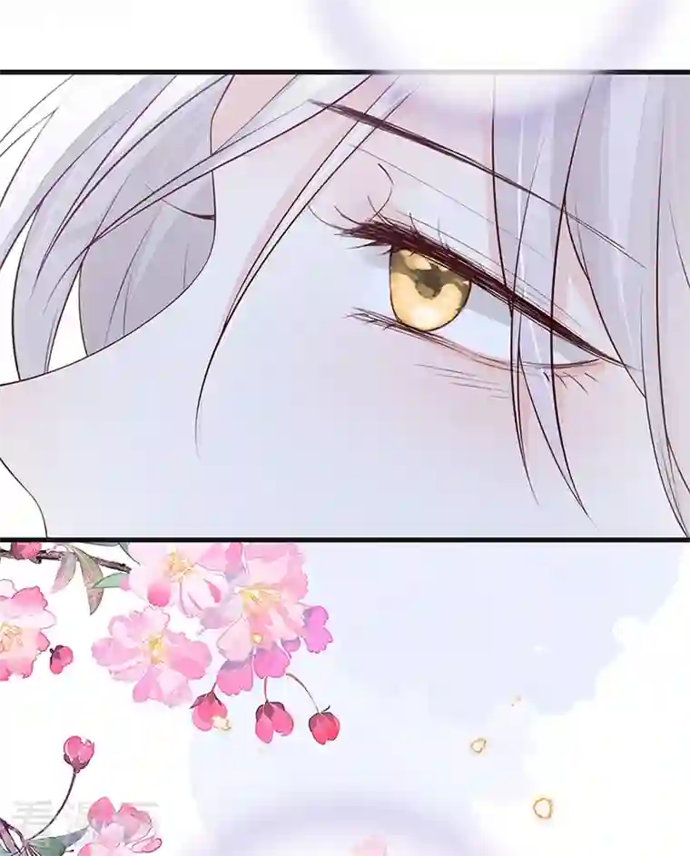 太后裙下臣第72话 情深至极？