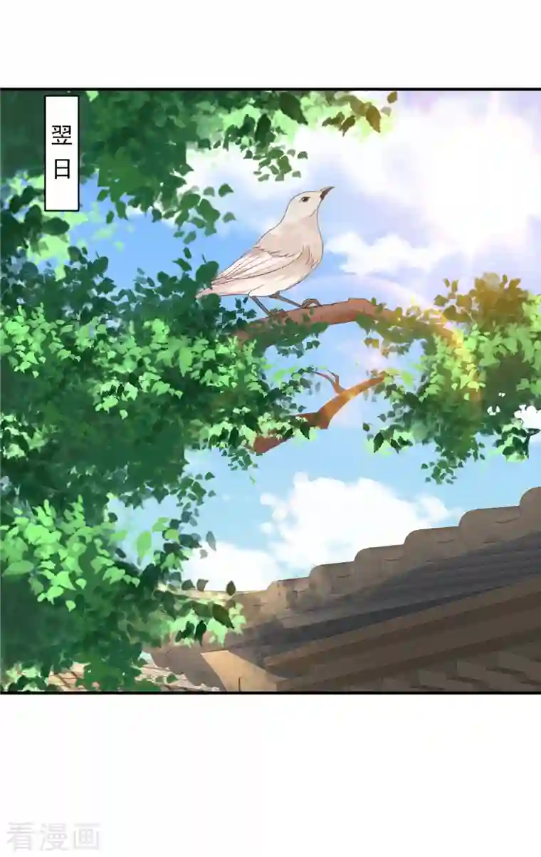 神偷王妃：我家王爷惹不起第20话 你究竟还有多少秘密