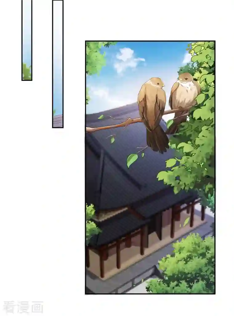 仵作王妃路子野第13话 绝不能让云轻当上郡主！