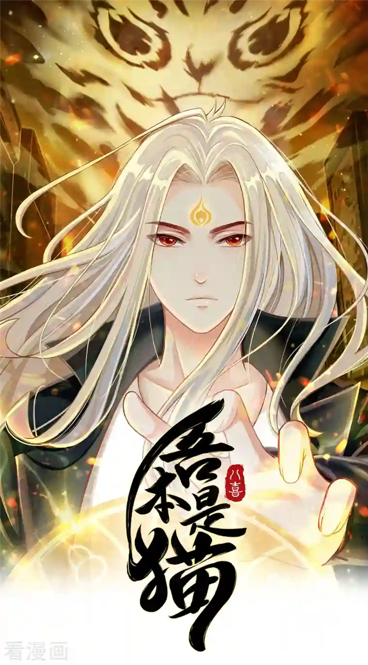 吾本是猫第1话 罪仙降世