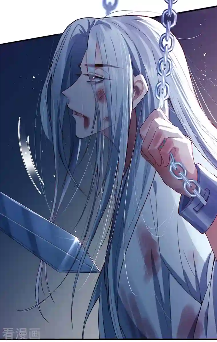 吾本是猫第1话 罪仙降世