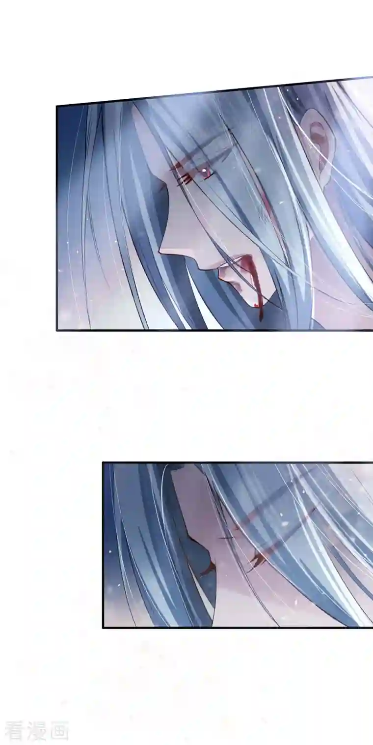 吾本是猫第1话 罪仙降世