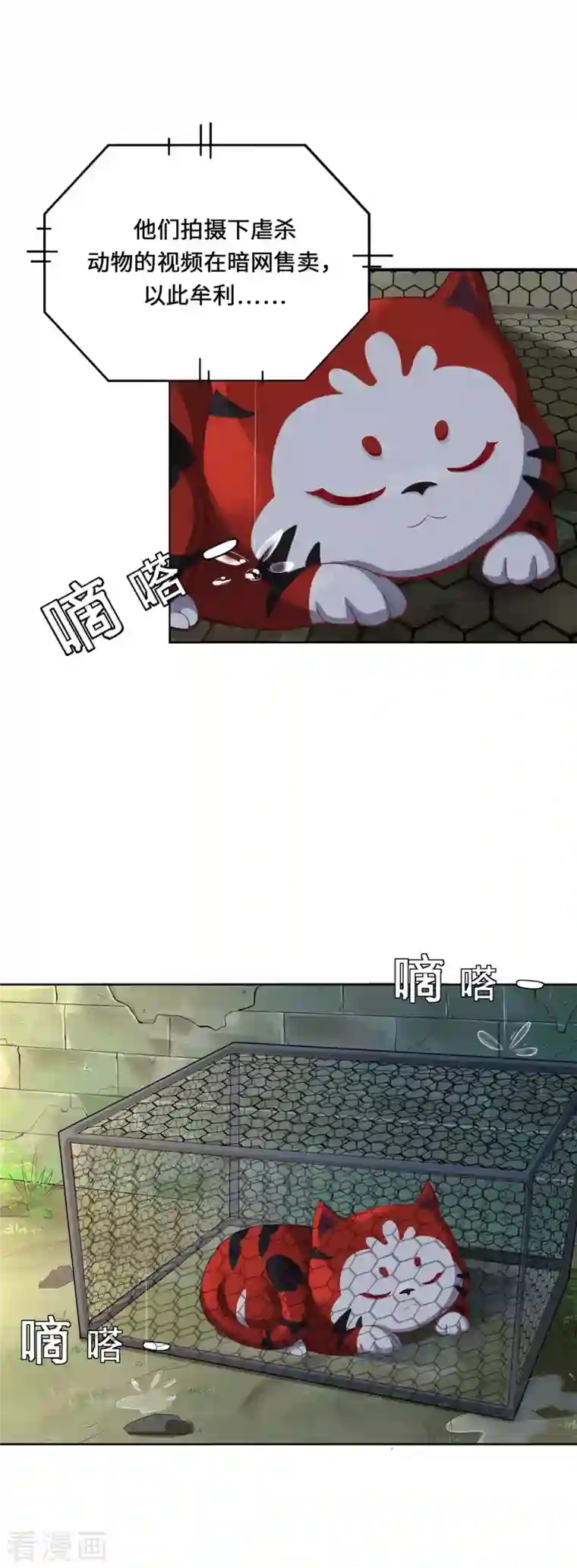 吾本是猫第1话 罪仙降世