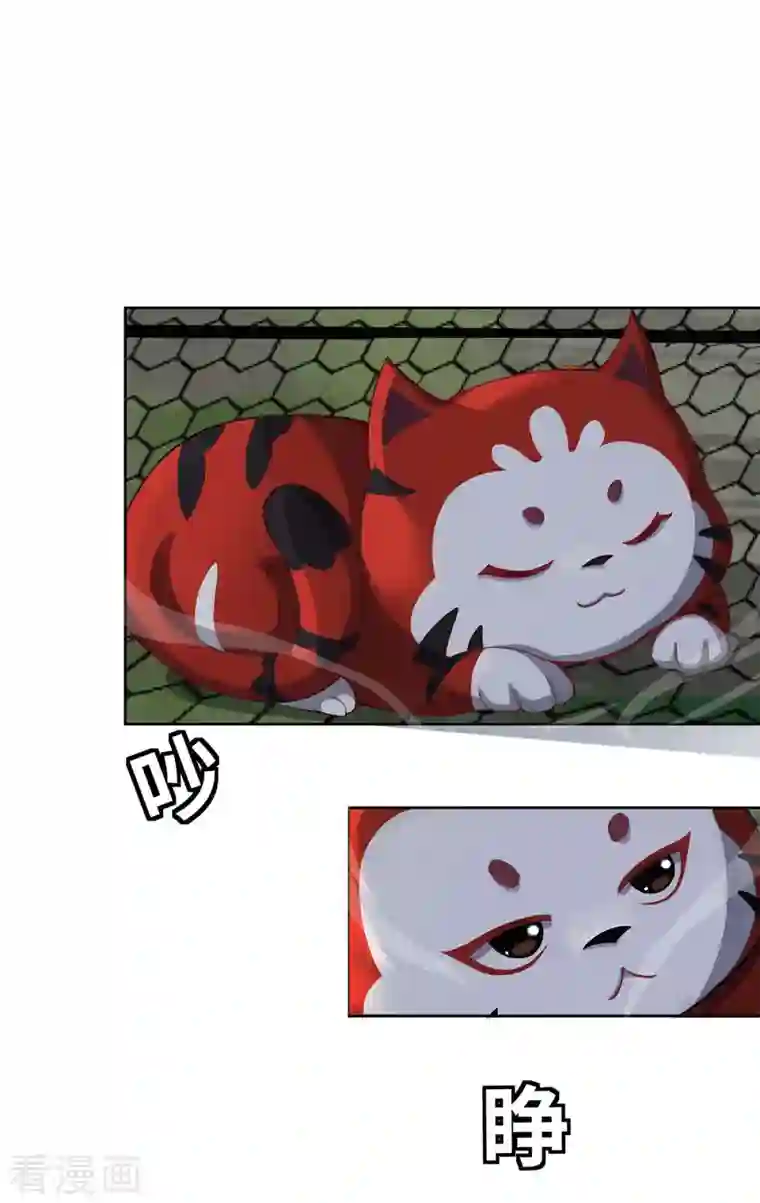 吾本是猫第1话 罪仙降世