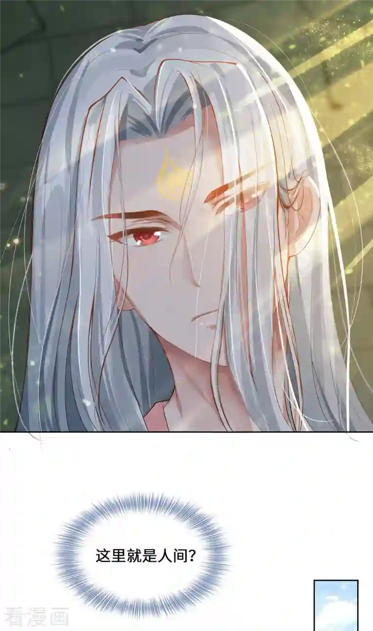 吾本是猫第1话 罪仙降世