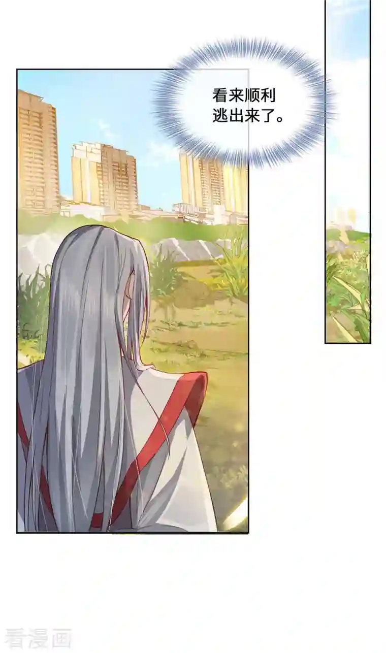 吾本是猫第1话 罪仙降世