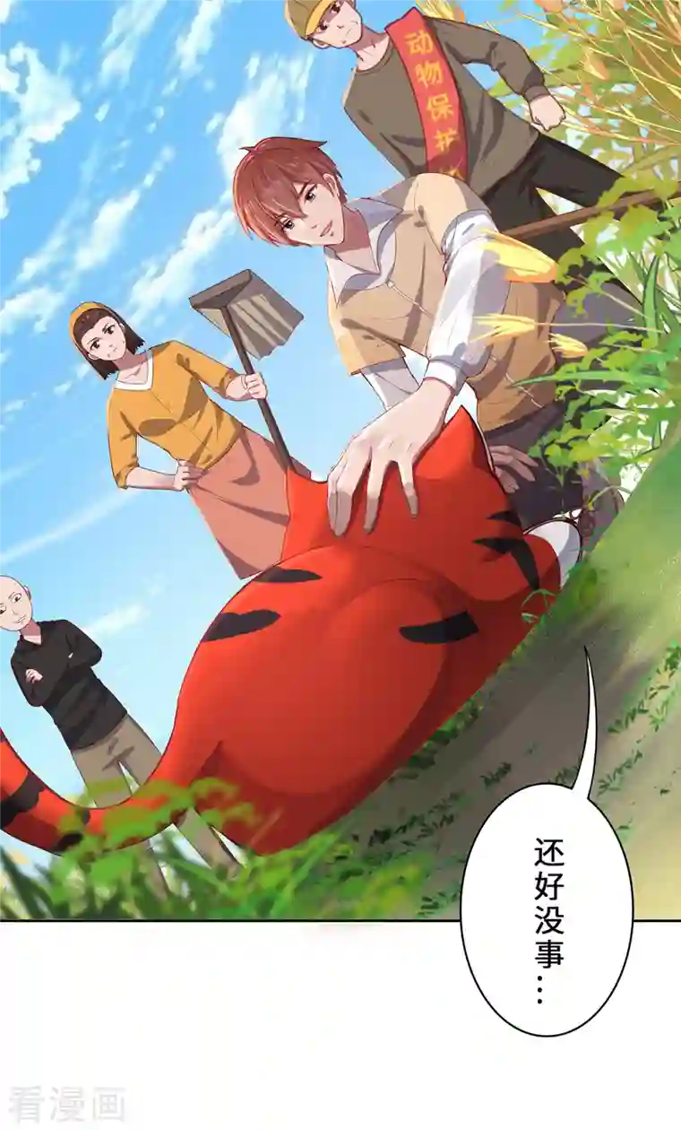 吾本是猫第2话 风雨欲来