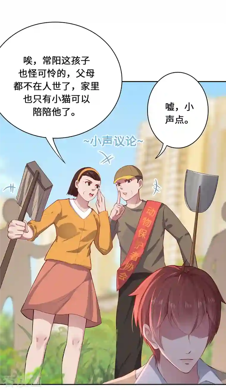 吾本是猫第2话 风雨欲来