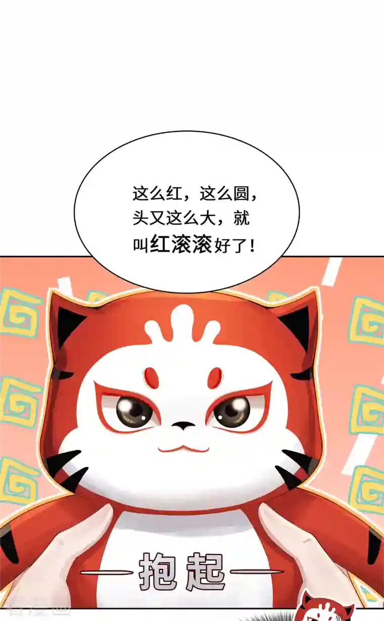 吾本是猫第2话 风雨欲来