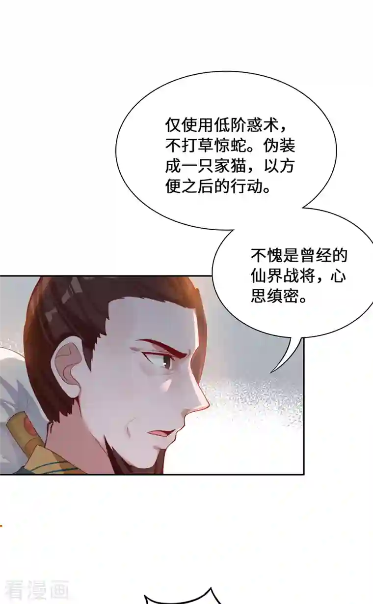 吾本是猫第2话 风雨欲来