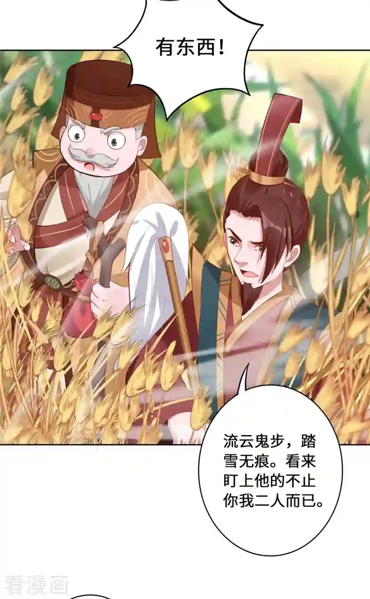 吾本是猫第2话 风雨欲来