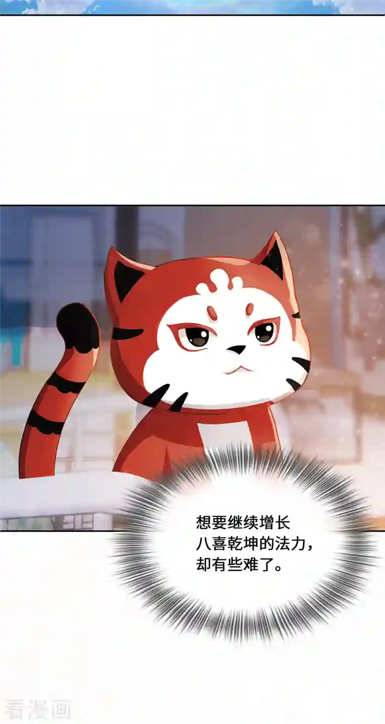 吾本是猫第2话 风雨欲来