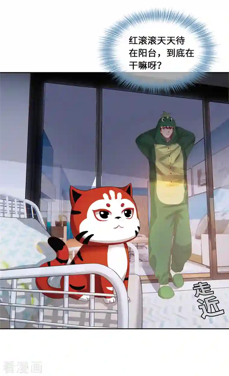 吾本是猫第2话 风雨欲来