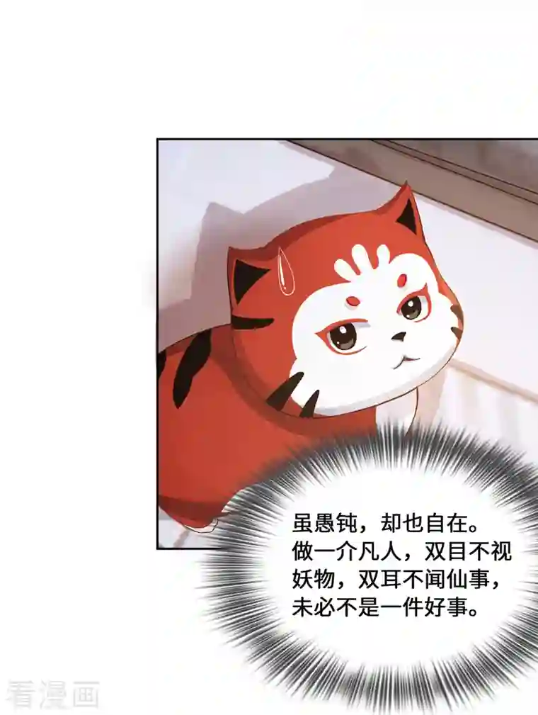 吾本是猫第2话 风雨欲来