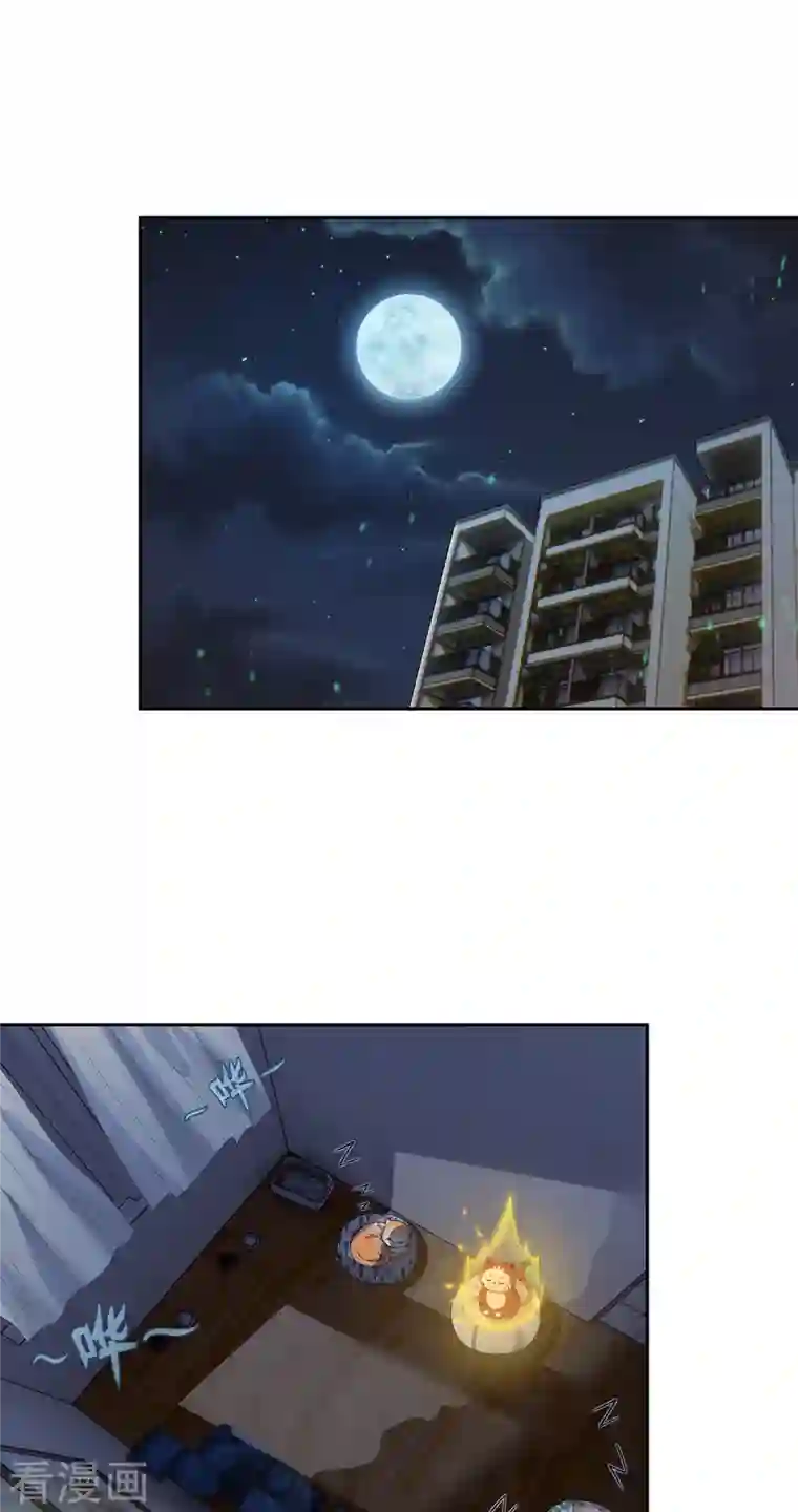 吾本是猫第2话 风雨欲来