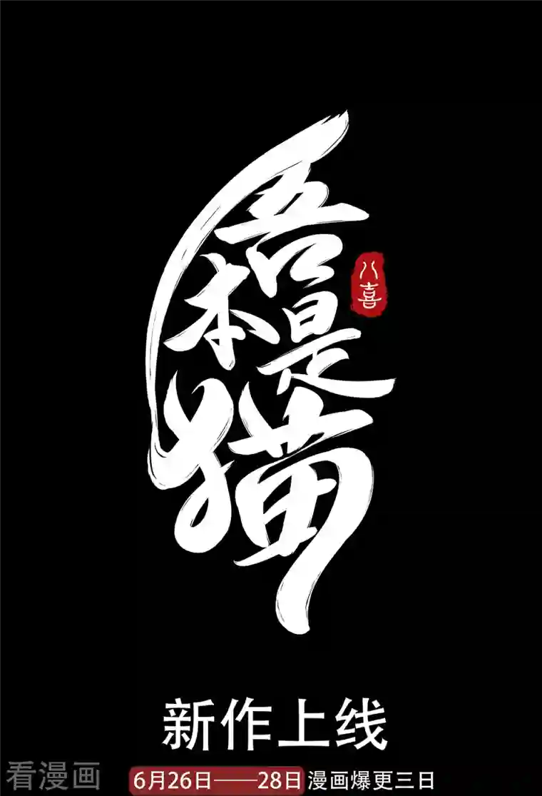 吾本是猫第2话 风雨欲来