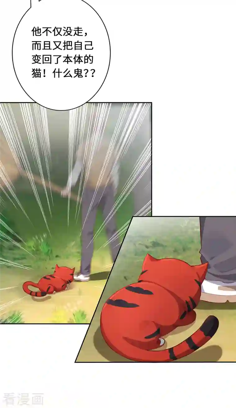 吾本是猫第2话 风雨欲来