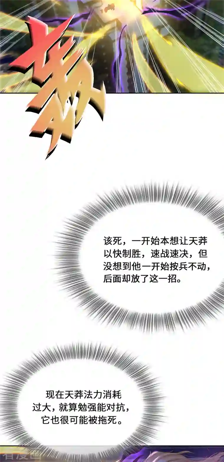 吾本是猫第3话 锋芒初现