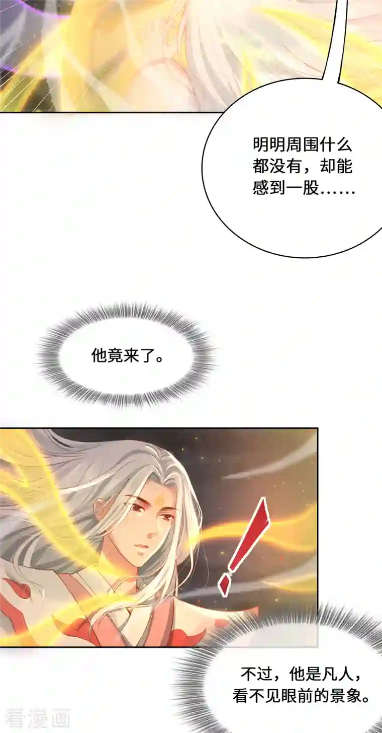 吾本是猫第3话 锋芒初现