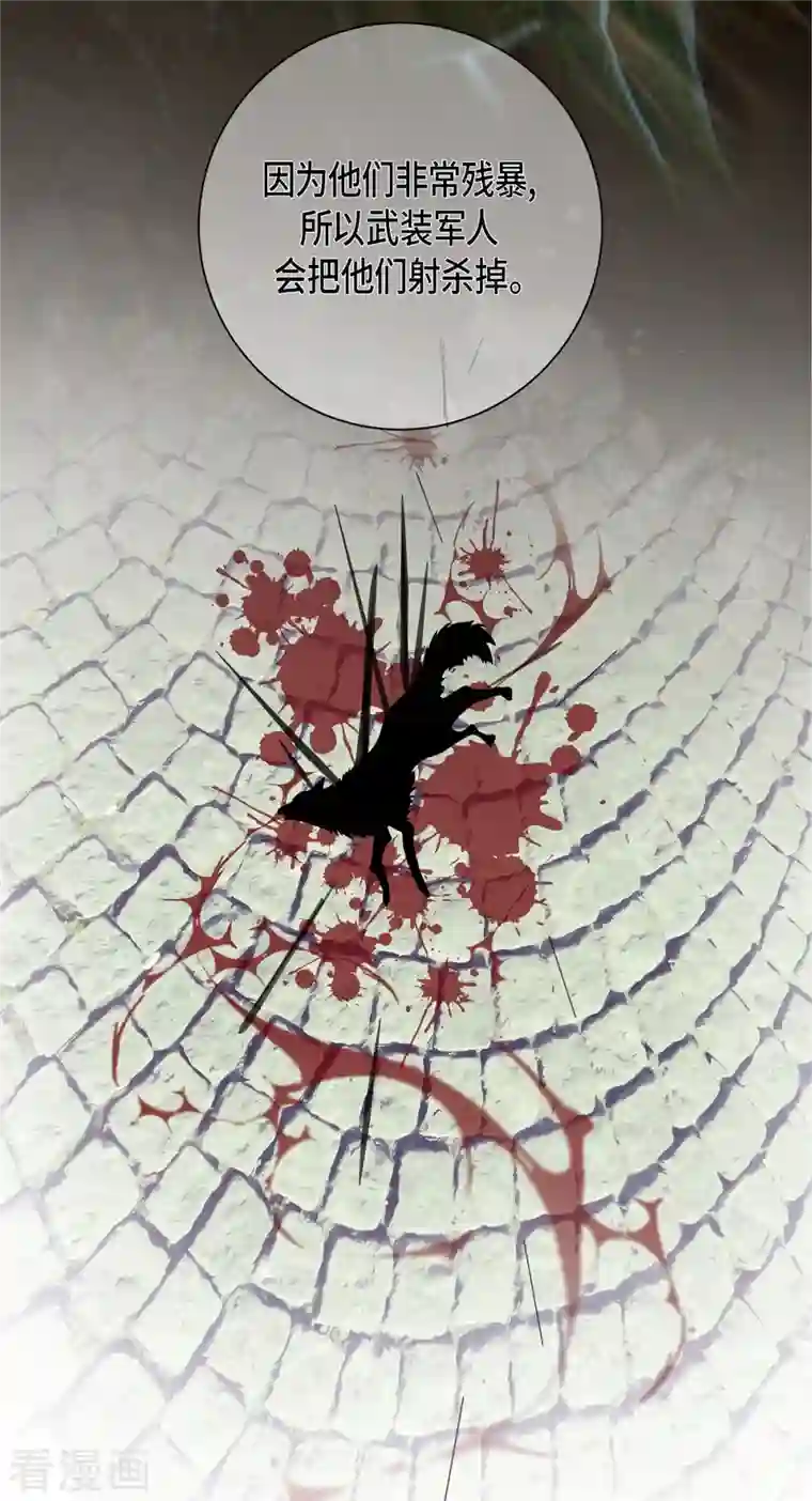 生存婚姻第1话 真实的梦