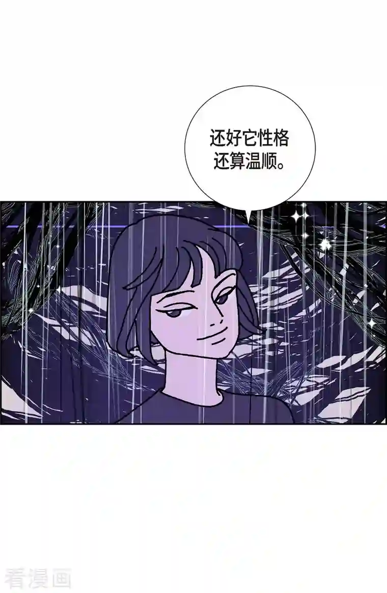 红蓝之眼第3话 魔法箱